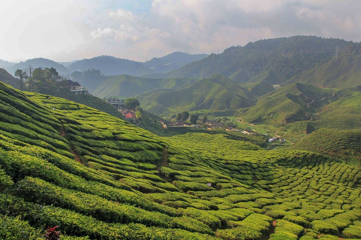 Cameron Highlands offers a variety of exciting leisure activities